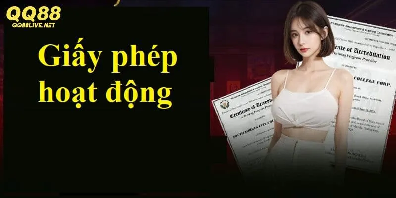 Khám phá về giấy phép hoạt động tại QQ88